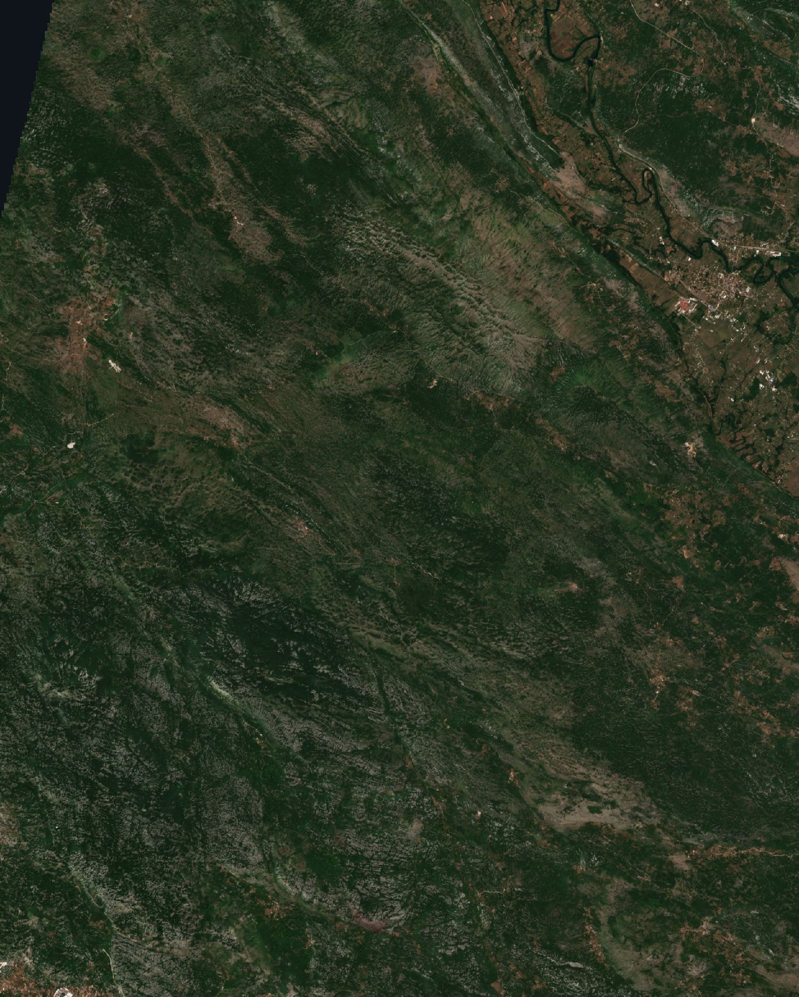 The area before the fire, July 6, 2017
