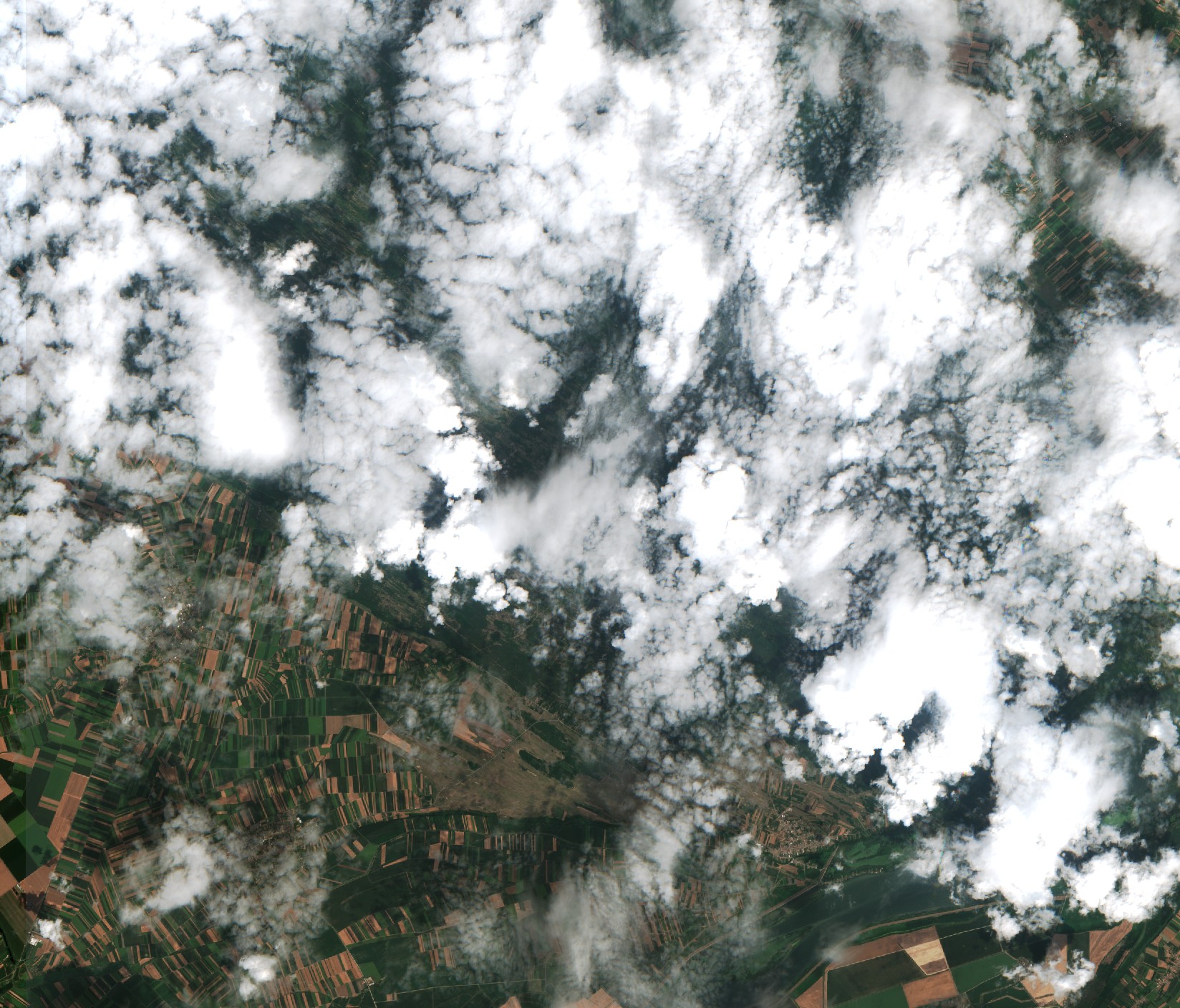 Sentinel-2 images