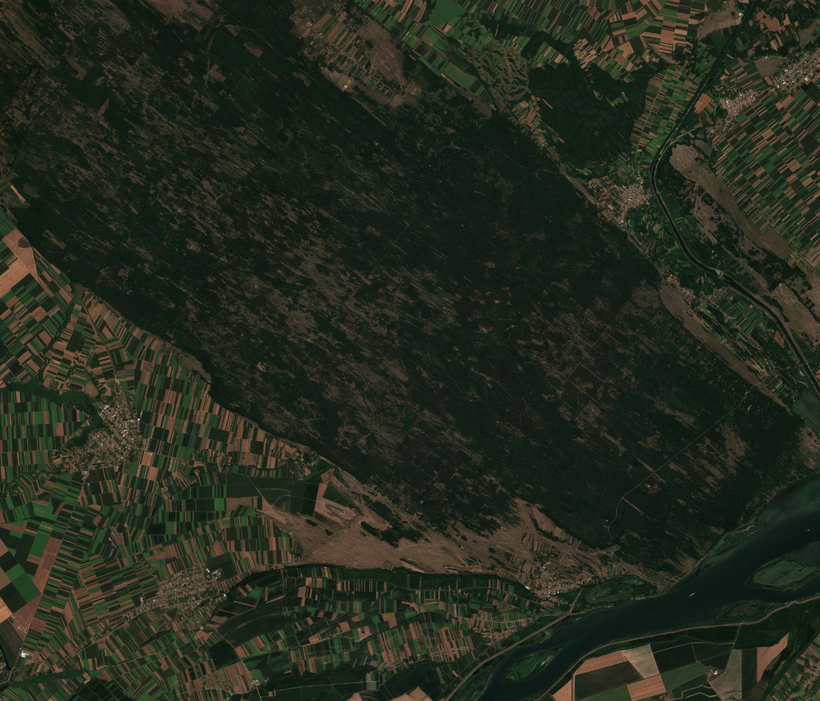 The area before the fire, July 29, 2026