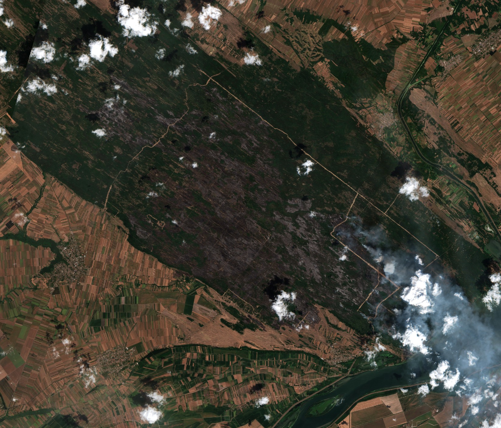 The area after the fire, August 18, 2026