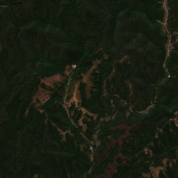 The area before the fire, September 17, 2026