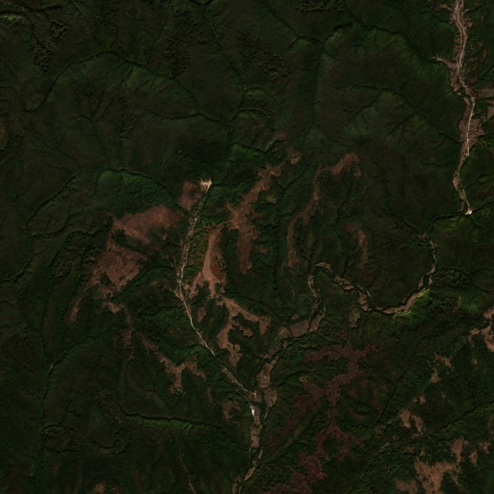 The area after the fire, October 4, 2026
