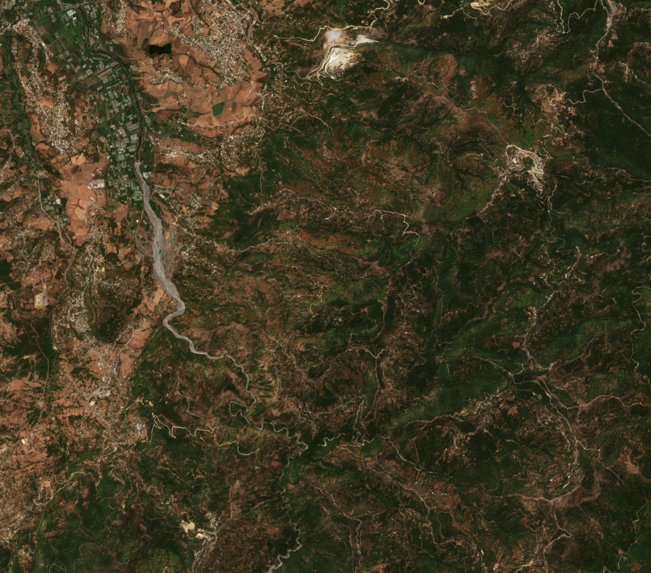 The area before the fire, August 10, 2026