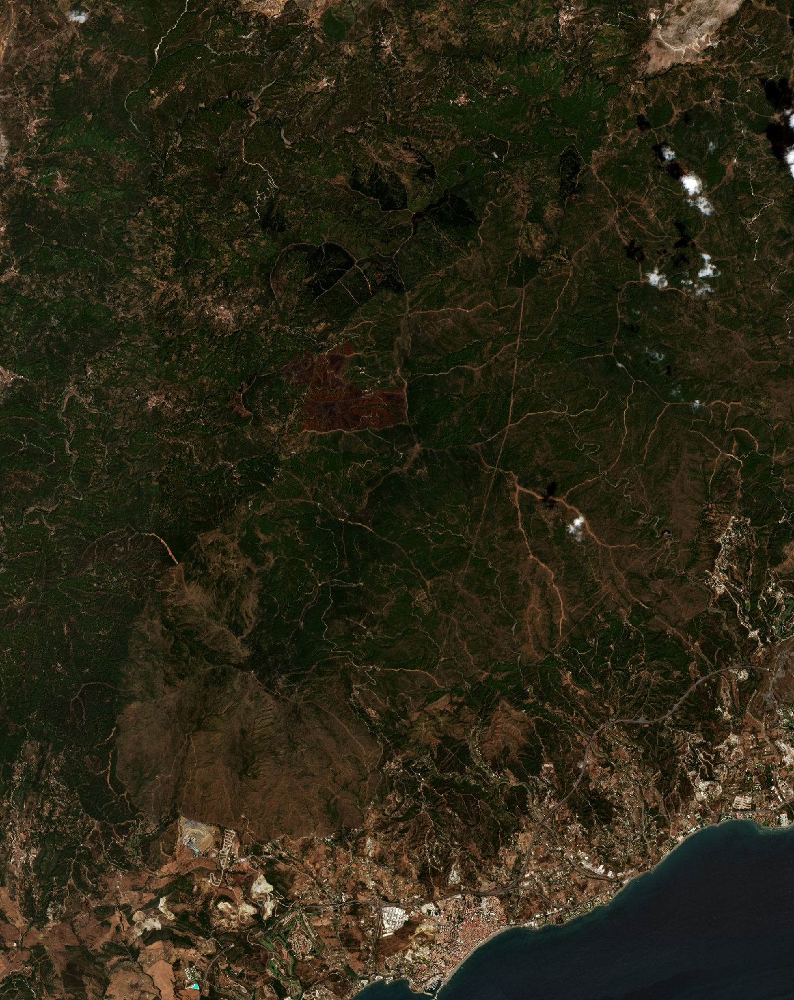 Sentinel-2 images