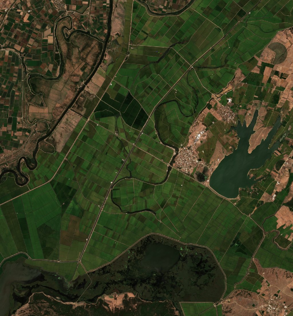 Sentinel-2 images