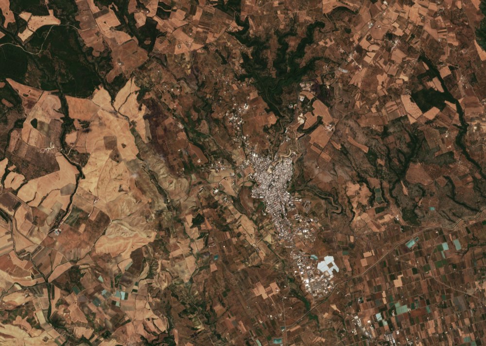 Sentinel-2 images