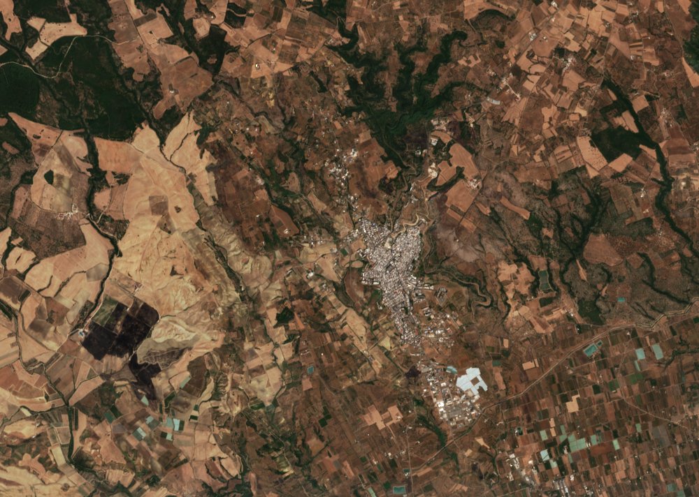 The area before the fire, August 14, 2026