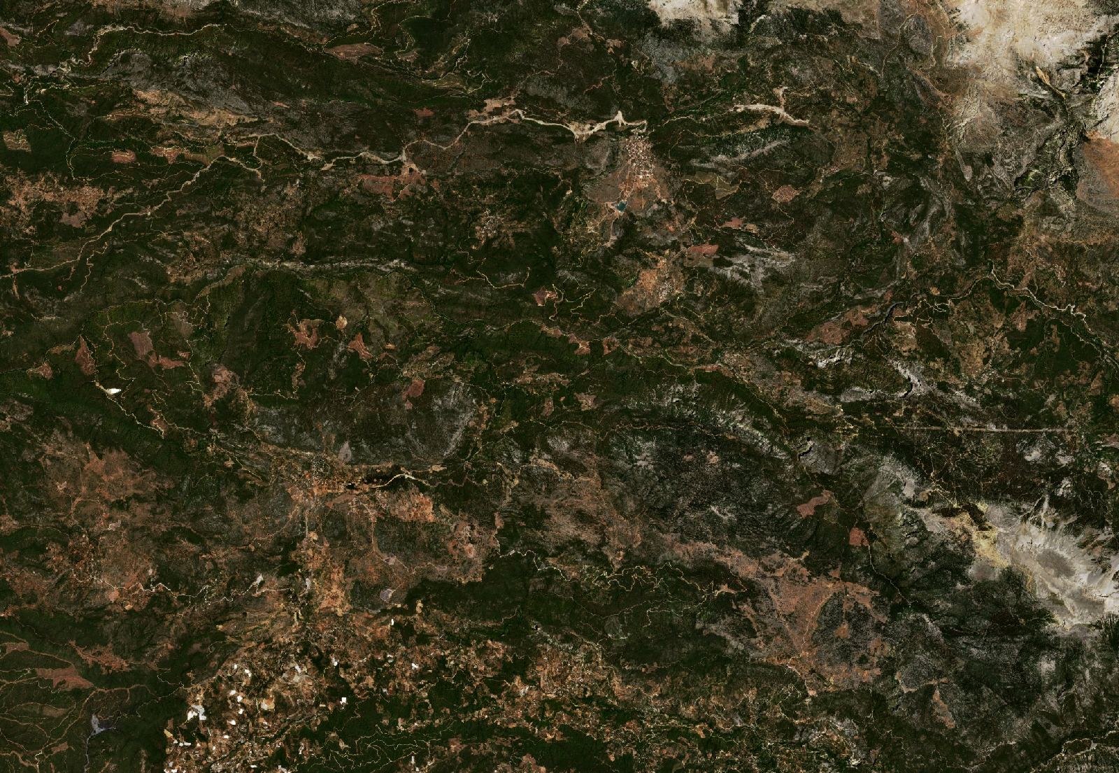 The area before the fire, July 15, 2021