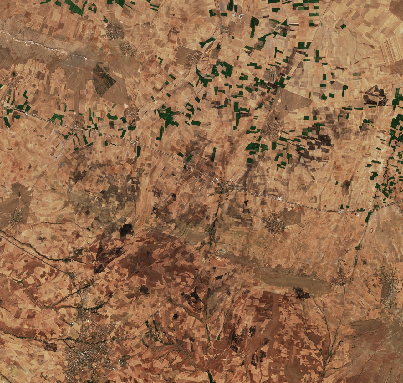 The area after the fire, September 4, 2026