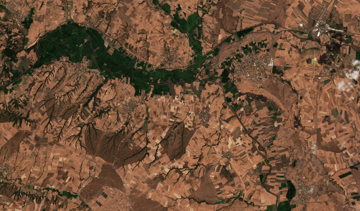 The area before the fire, August 29, 2026