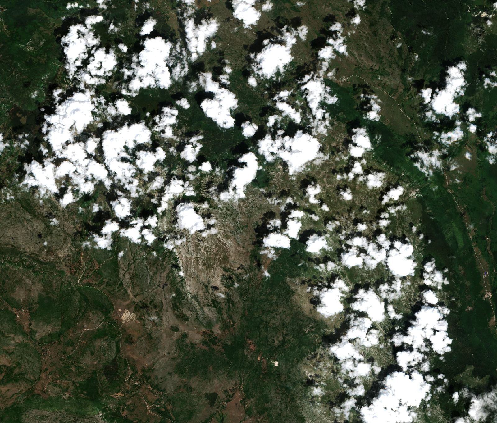 Sentinel-2 images