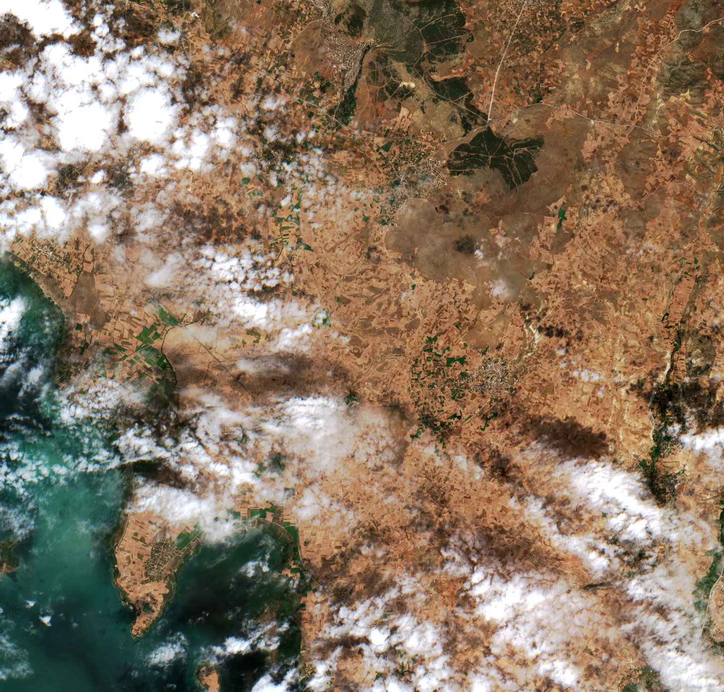 Sentinel-2 images