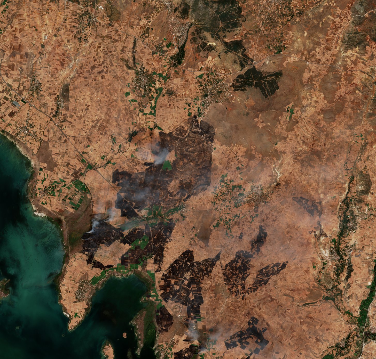 The area after the fire, September 12, 2026