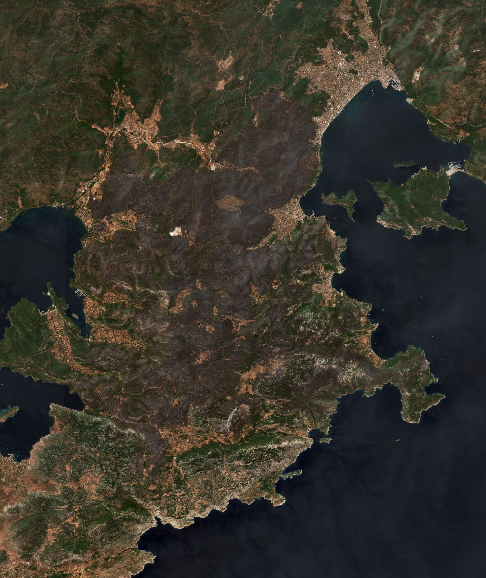 The area after the fire, August 7, 2021