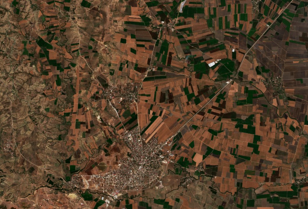 The area before the fire, September 19, 2026