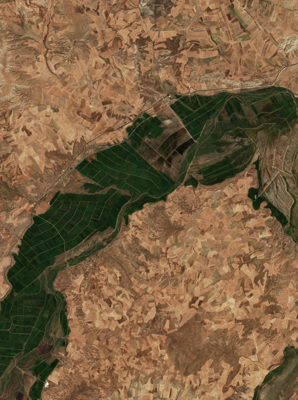 Sentinel-2 images