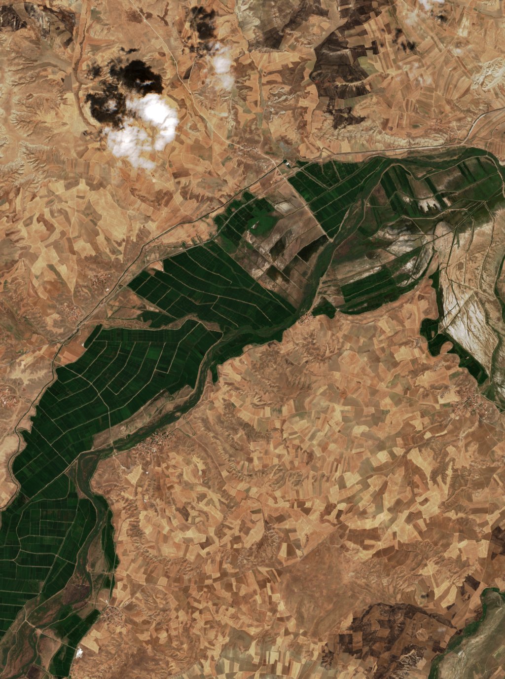 The area before the fire, August 15, 2026