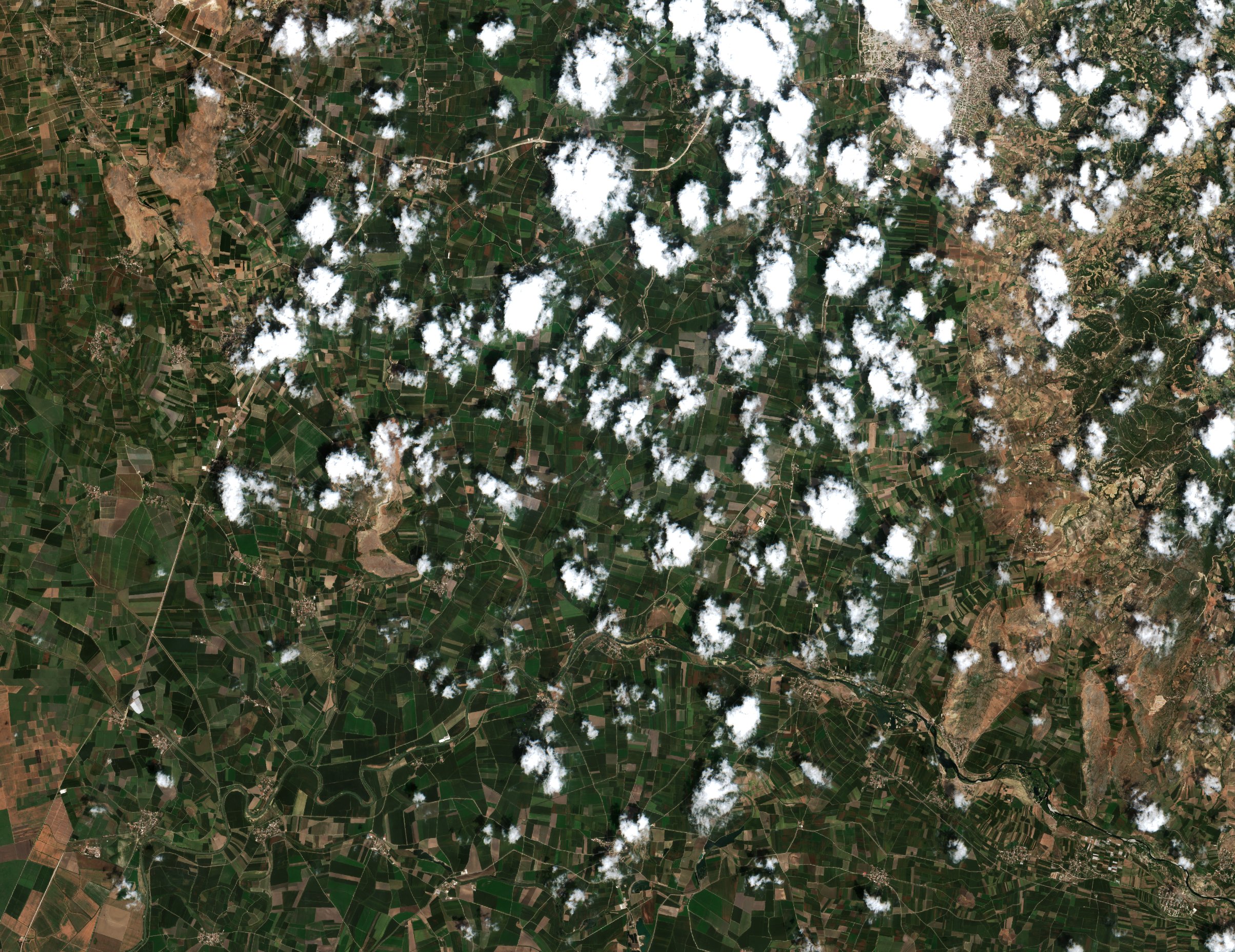 Sentinel-2 images