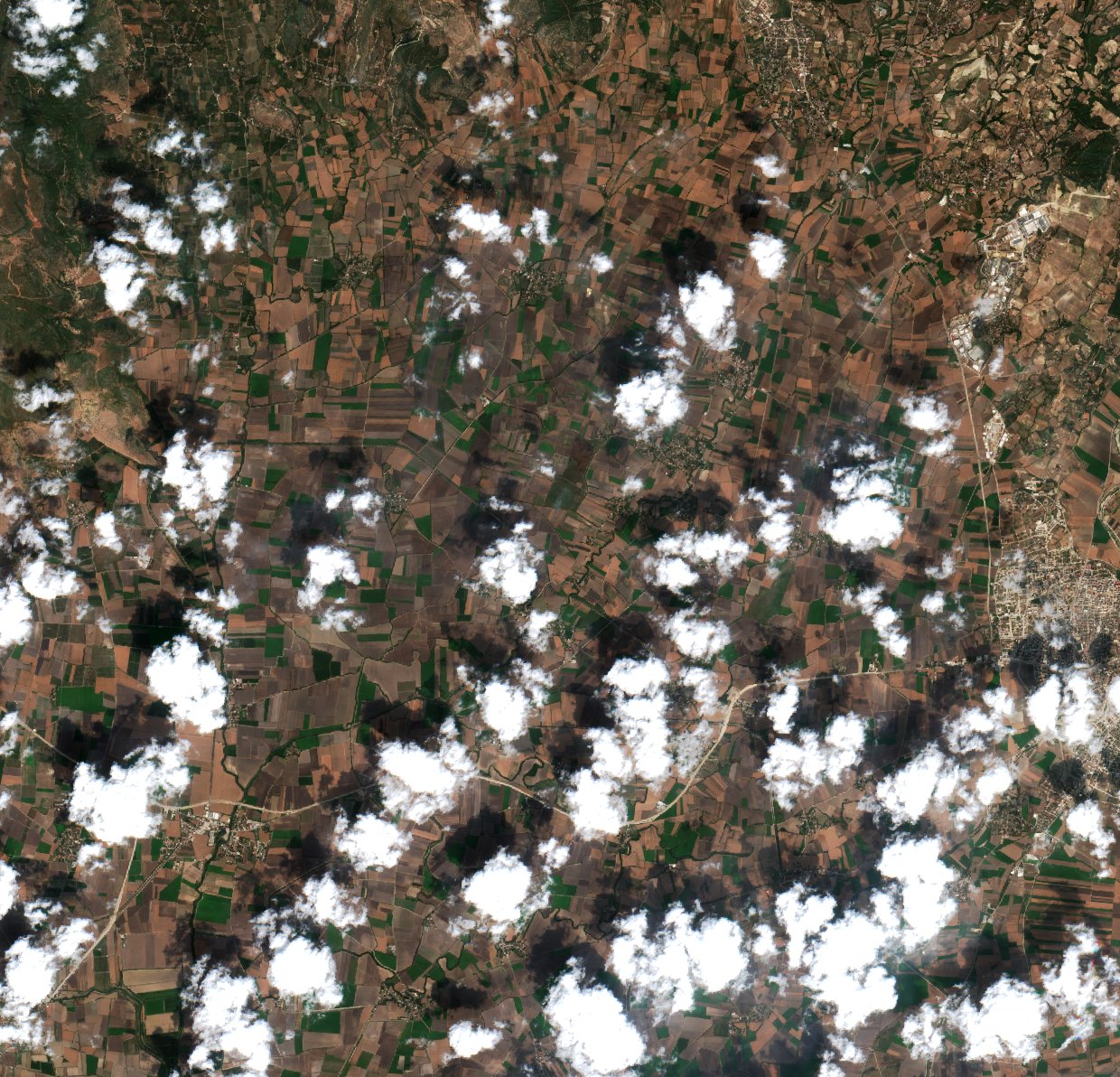 The area after the fire, September 13, 2026