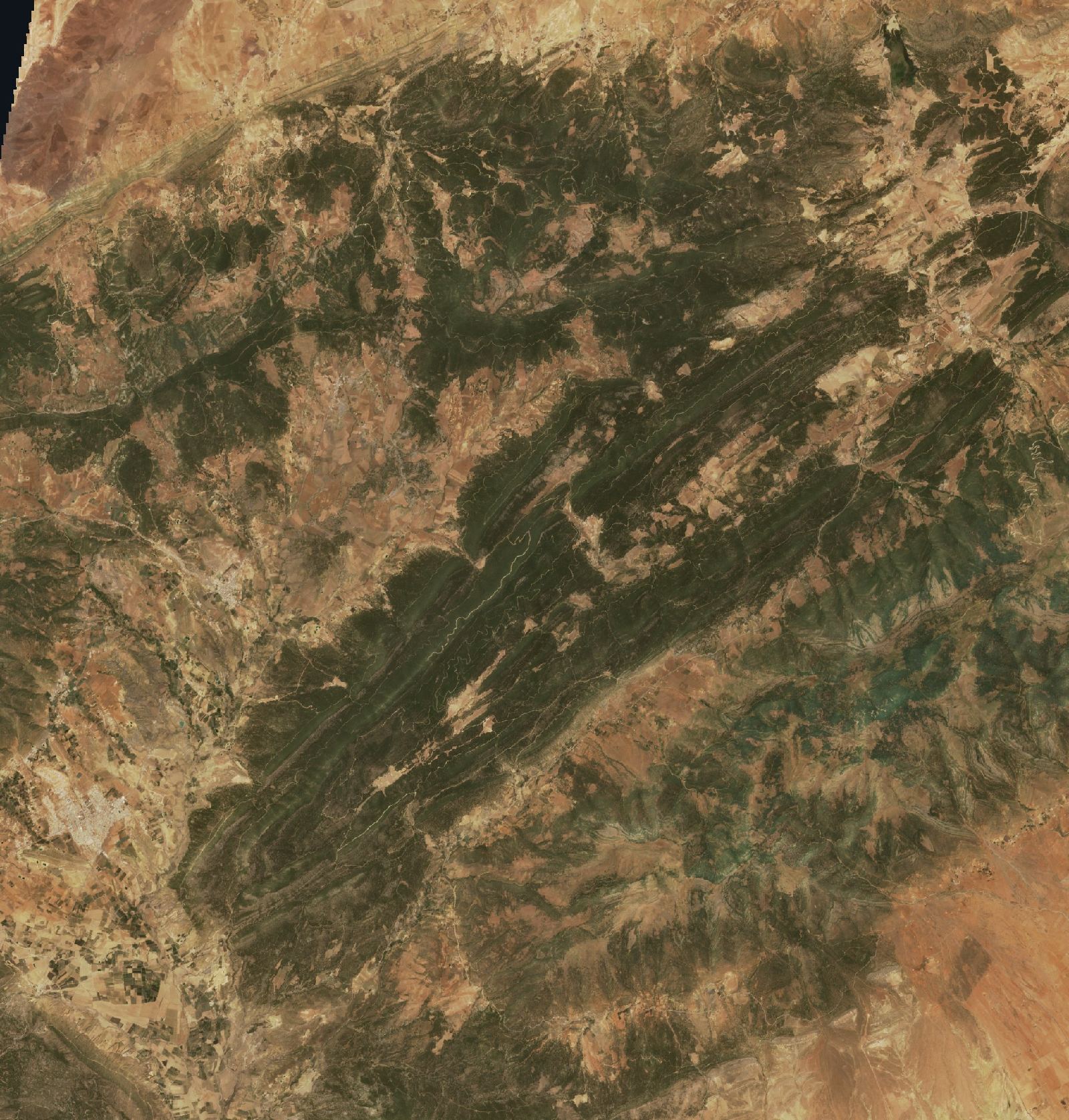 The area before the fire, June 22, 2021
