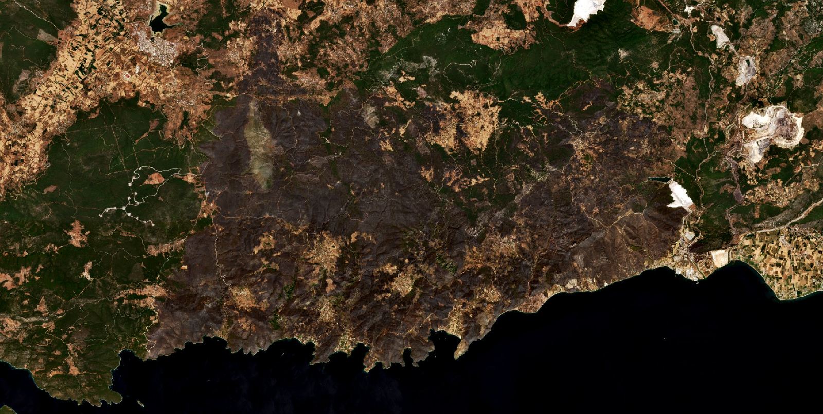 The area after the fire, August 12, 2021