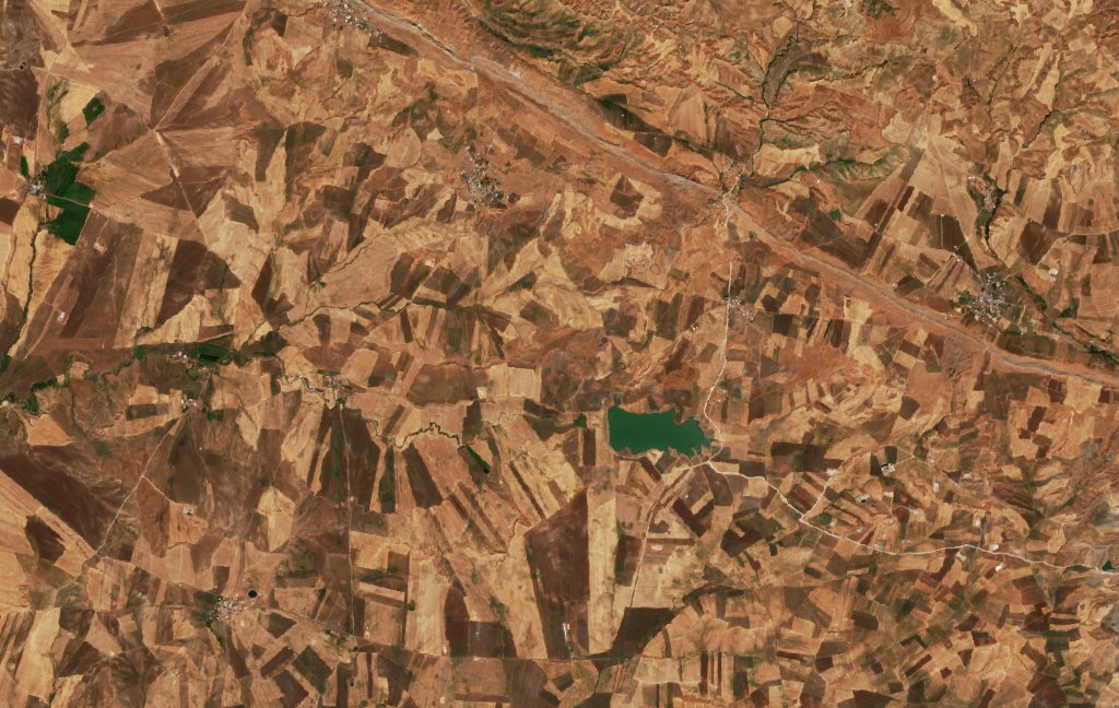 The area before the fire, September 20, 2026