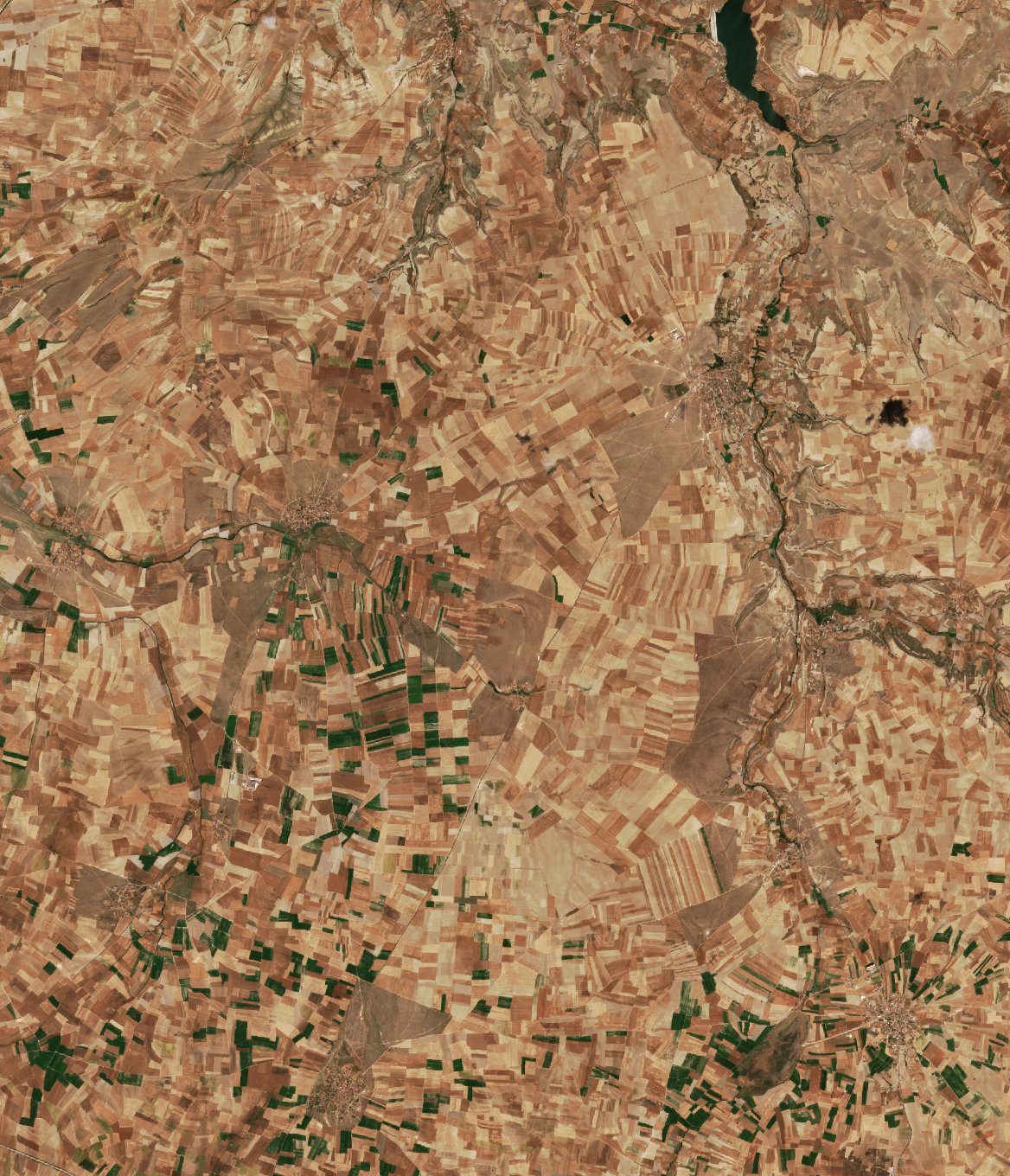 Sentinel-2 images