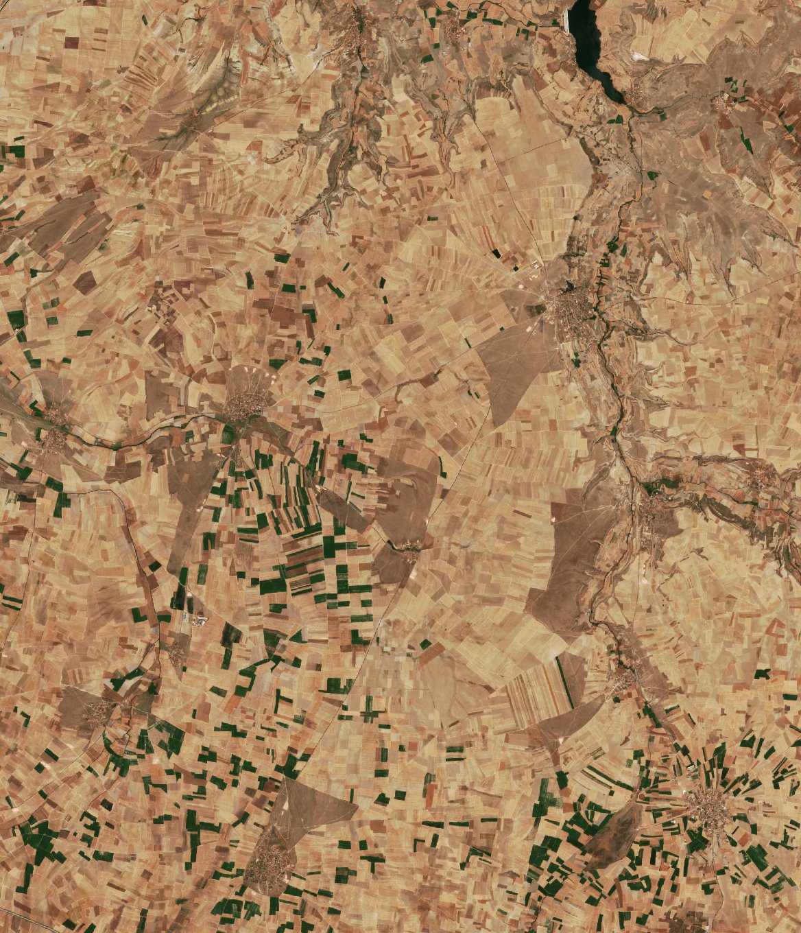 The area before the fire, July 28, 2026