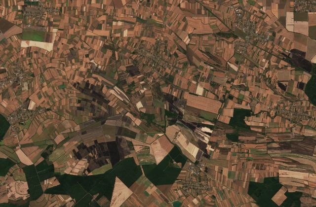 Burned area near Kupinovo from space