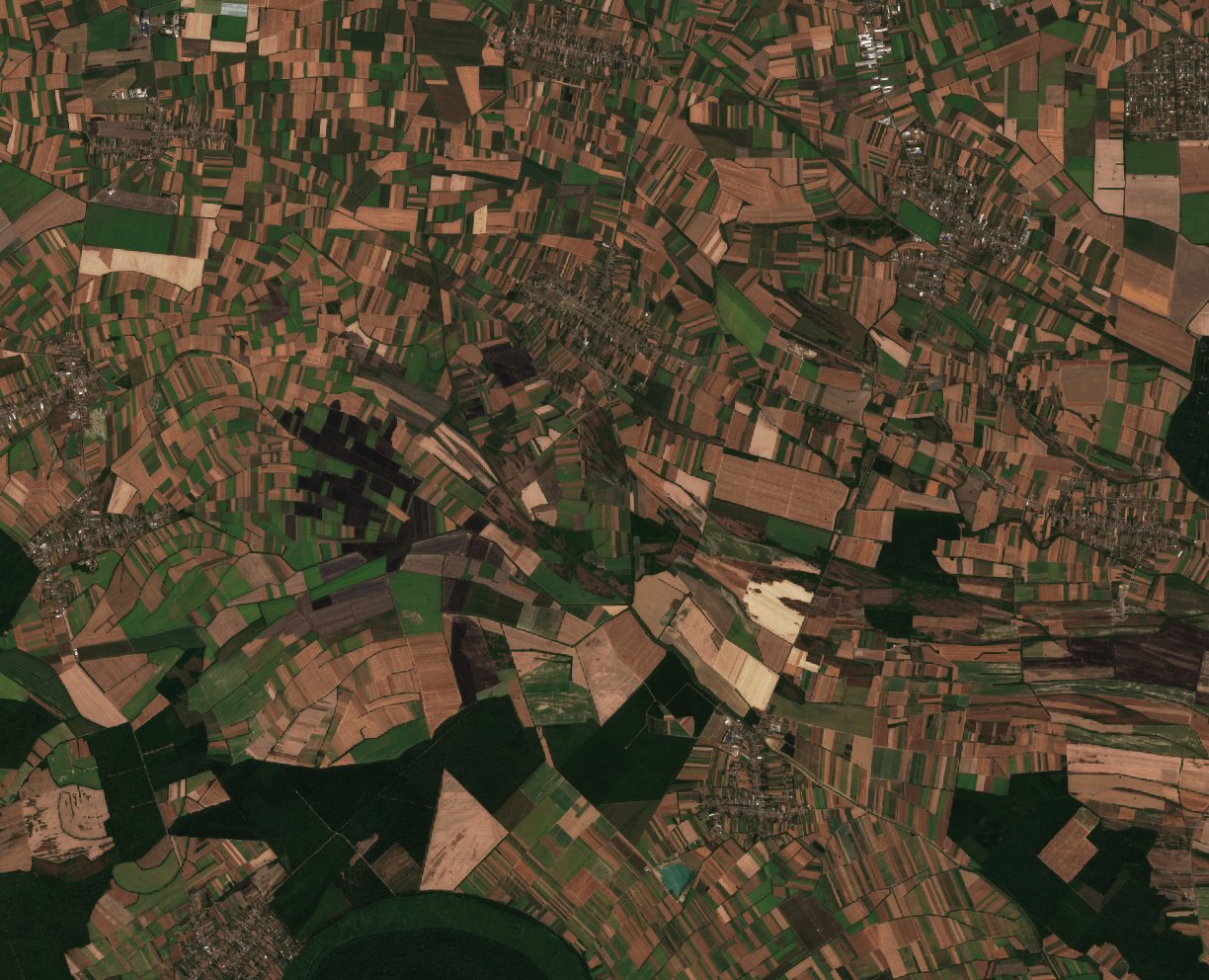 The area before the fire, August 1, 2026