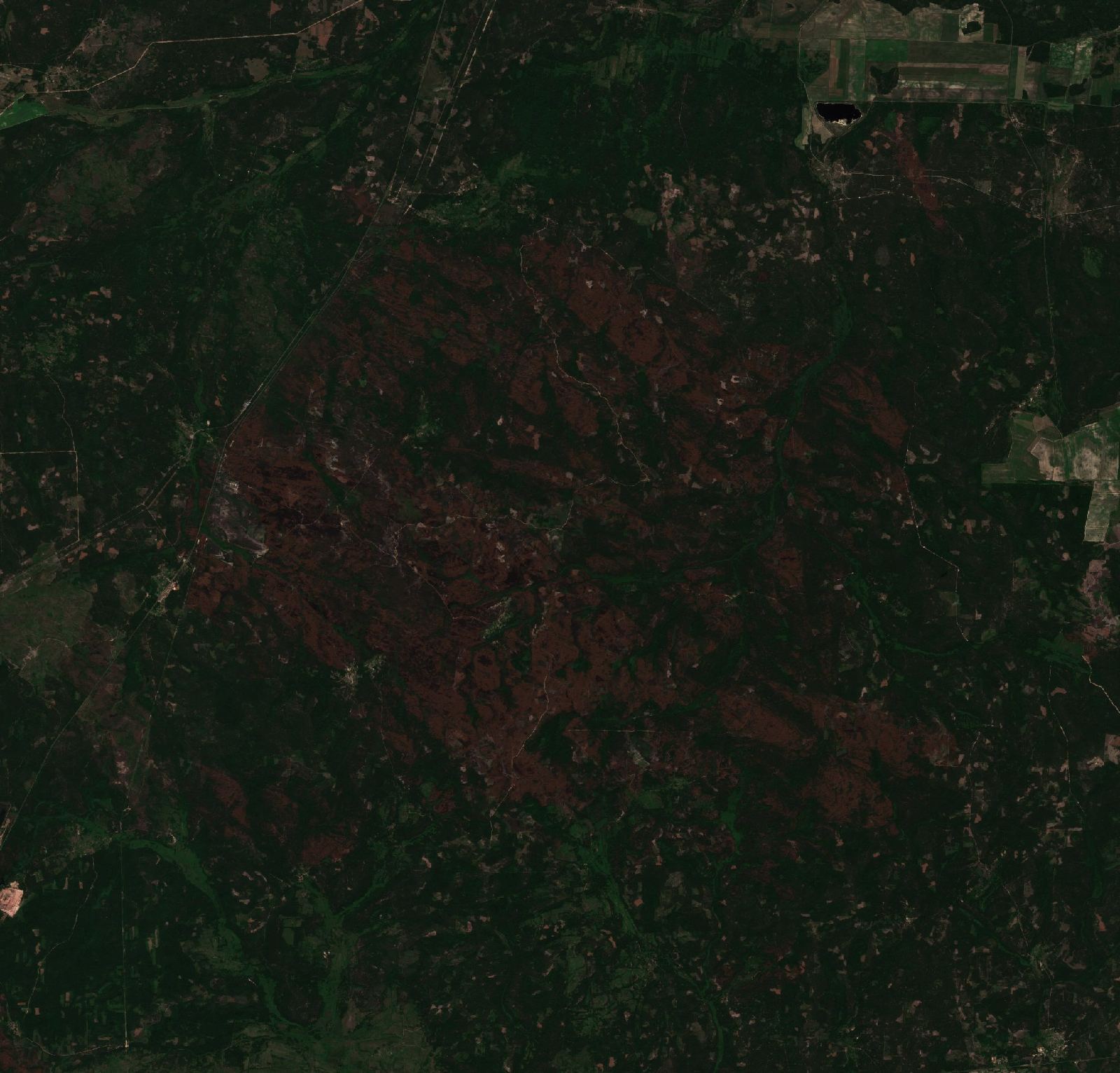 The area after the fire, June 24, 2020