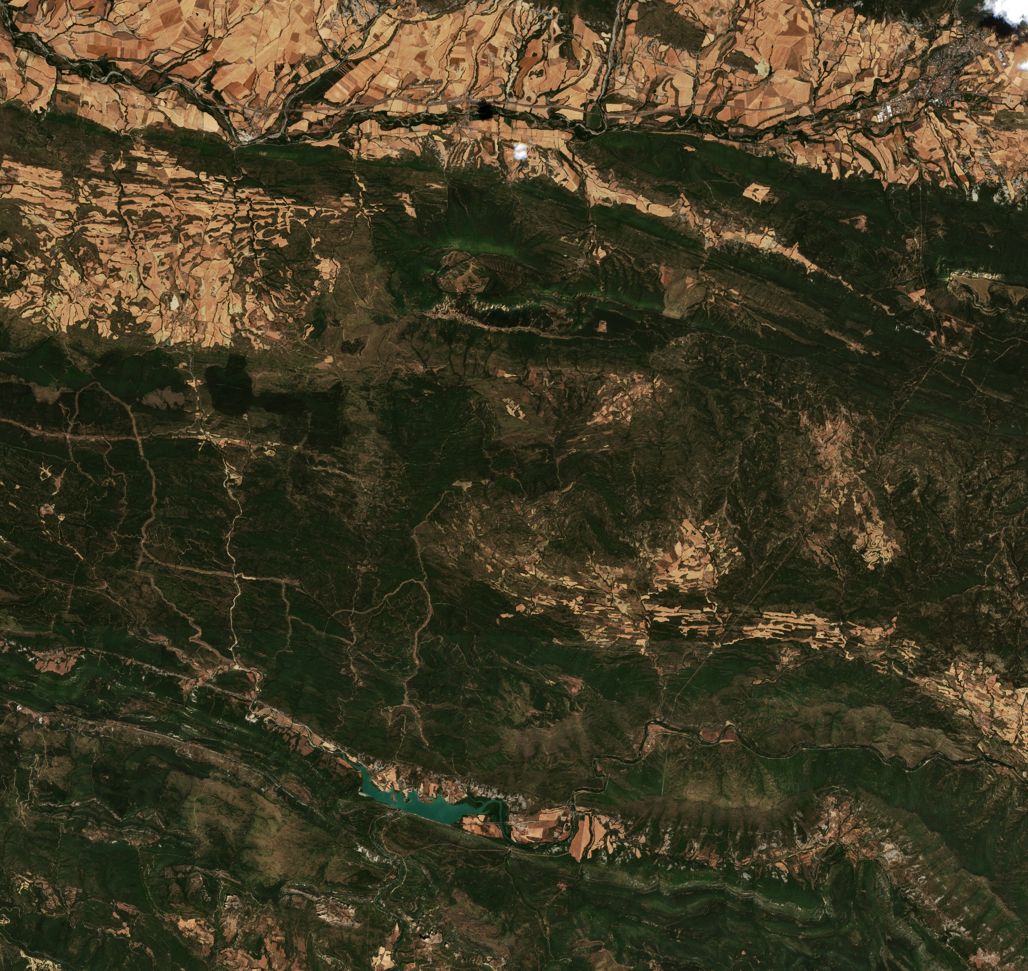 The area before the fire, August 2, 2026