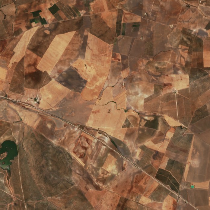 Sentinel-2 images