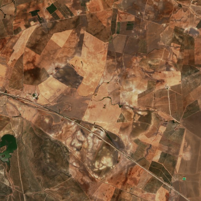 The area before the fire, October 9, 2026