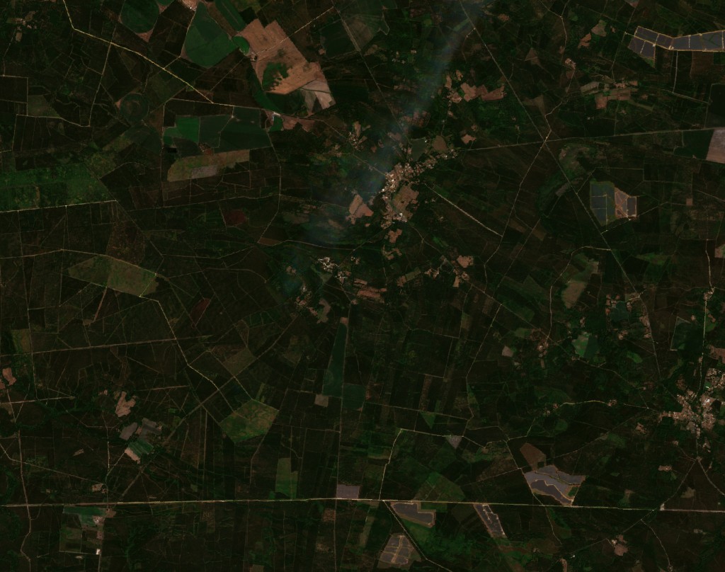 Sentinel-2 images