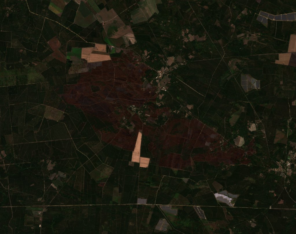 The area after the fire, September 4, 2026