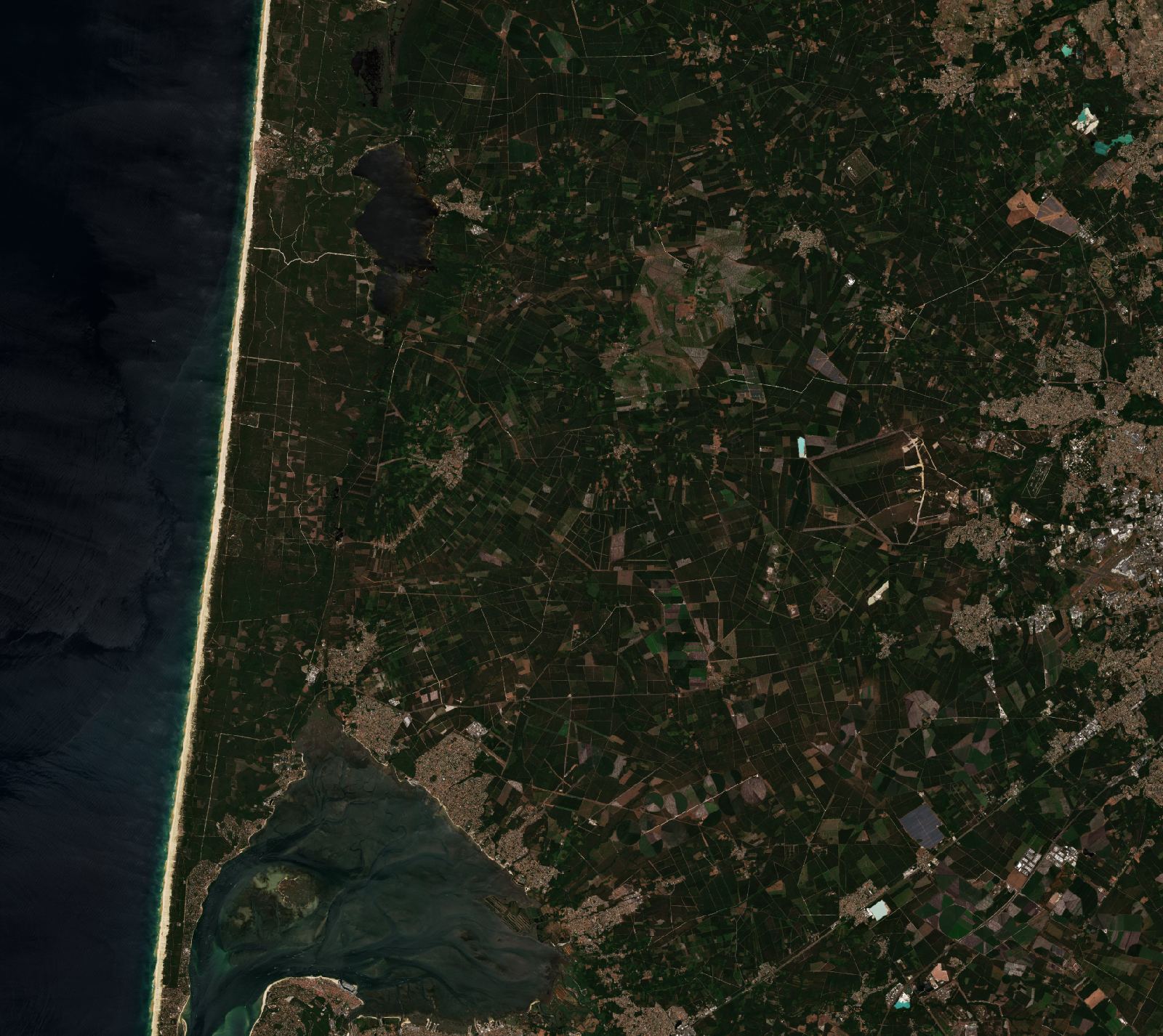 The area before the fire, July 6, 2026