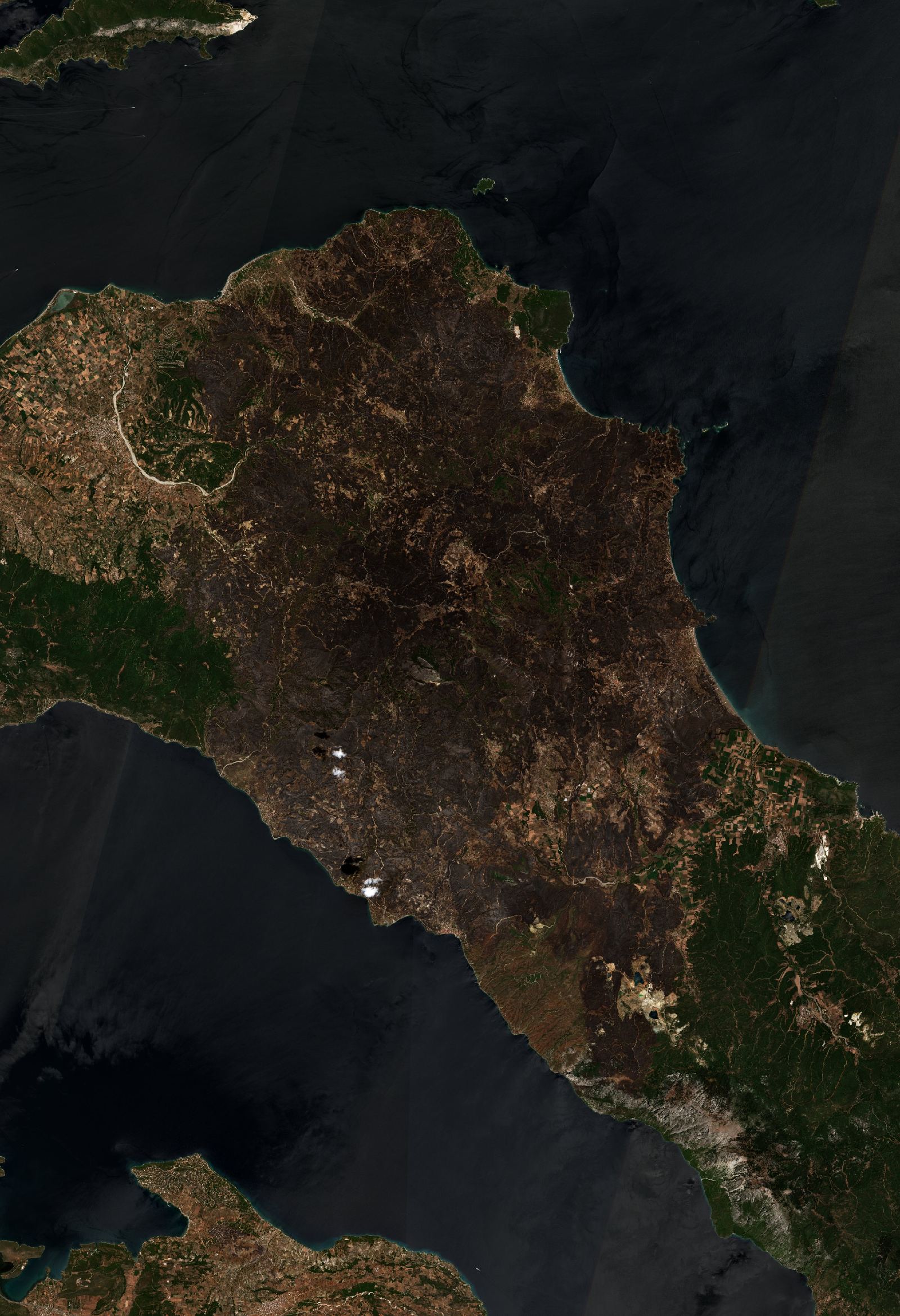 The area after the fire, August 16, 2021