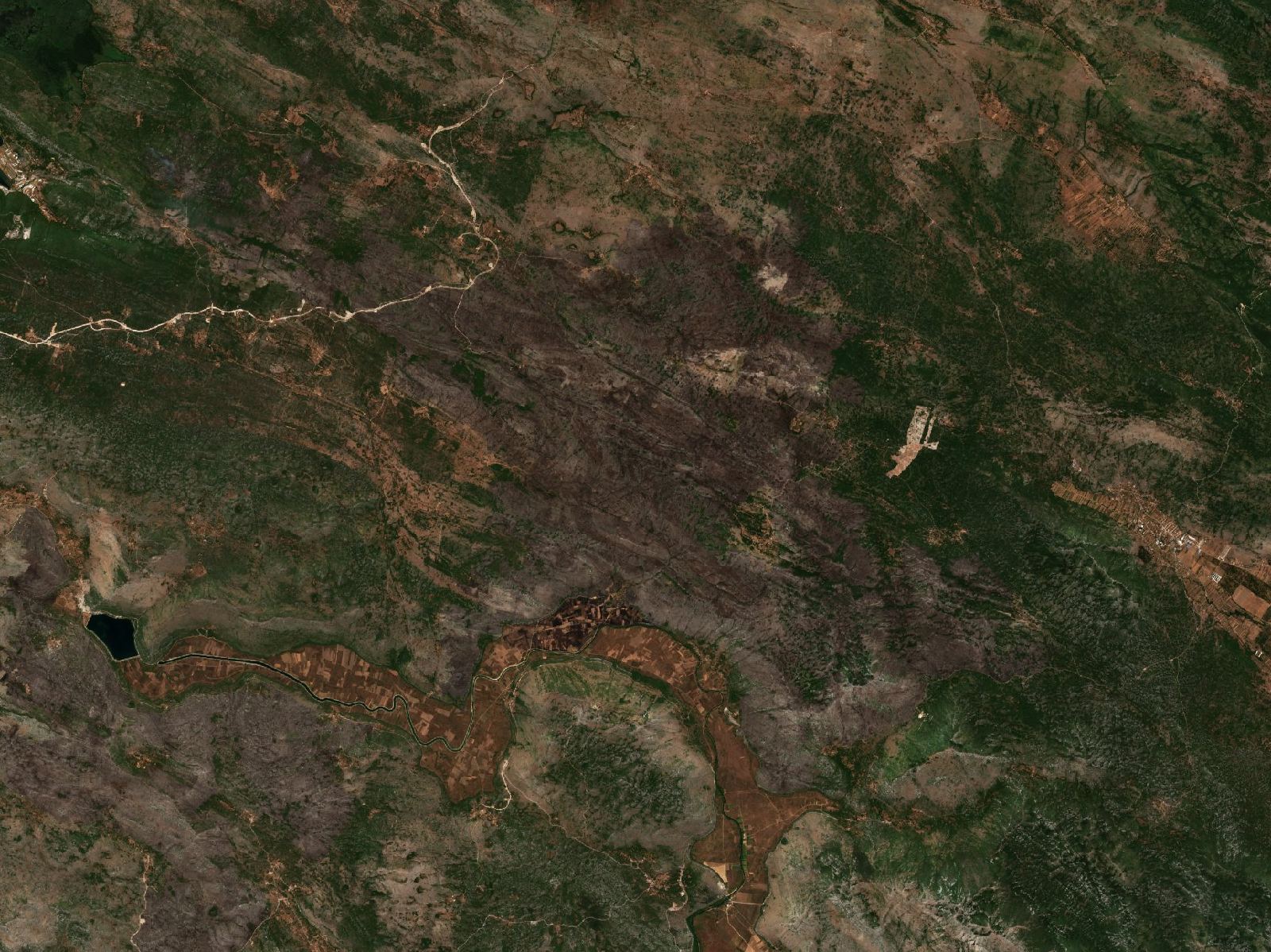 The area after the fire, August 12, 2021