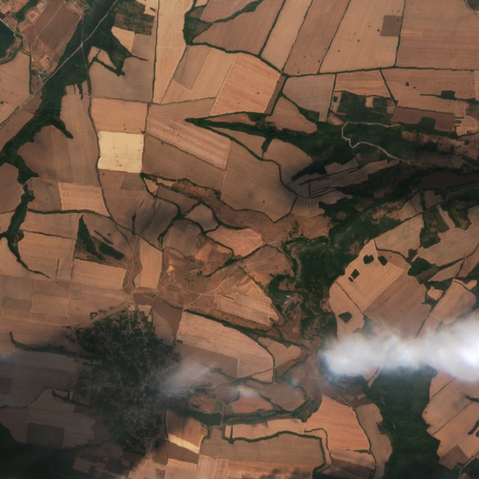 Sentinel-2 images