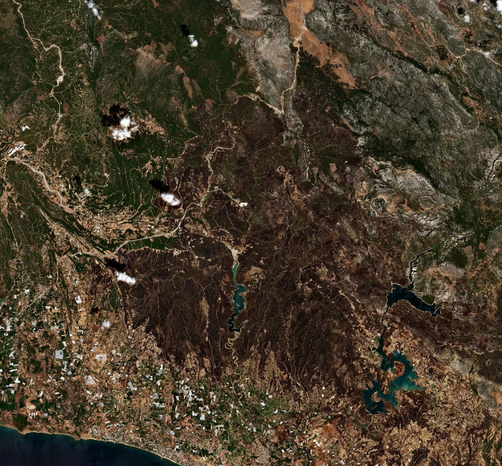 The area after the fire, August 9, 2021