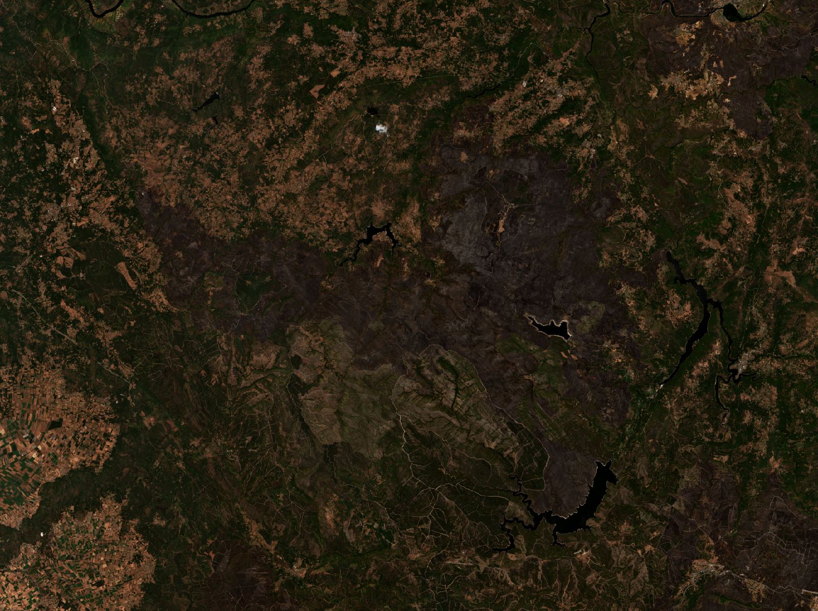 The area after the fire, August 23, 2025
