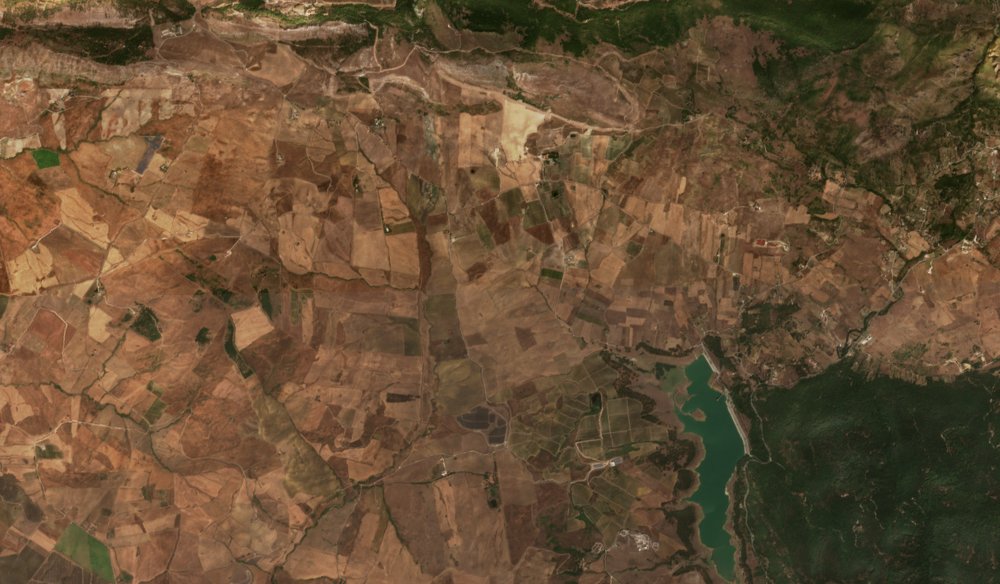 The area before the fire, August 31, 2026