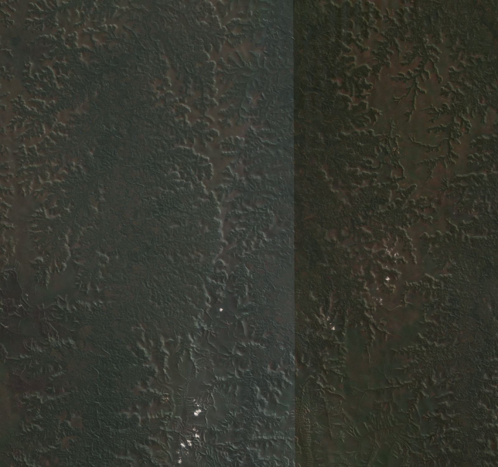 The area before the fire, August 6, 2026