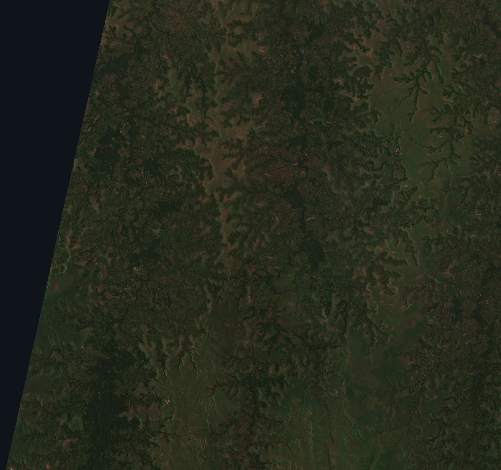 The area after the fire, September 10, 2026