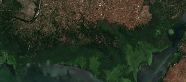 Burned area near Golubovci from space
