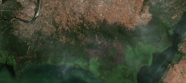 Burned area near Golubovci from space