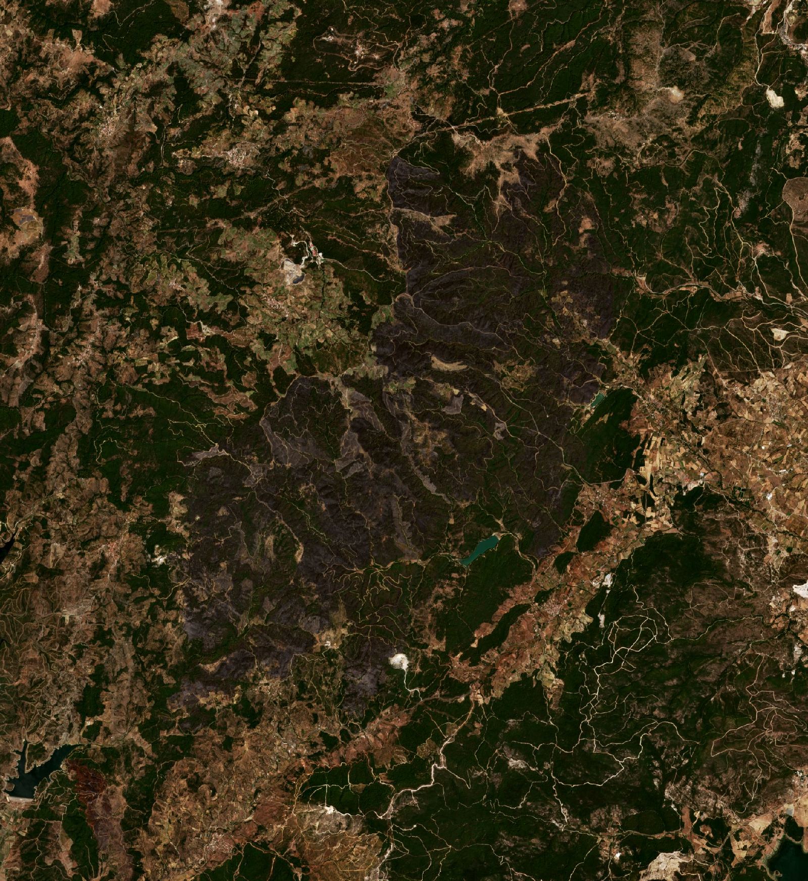 The area after the fire, August 21, 2019