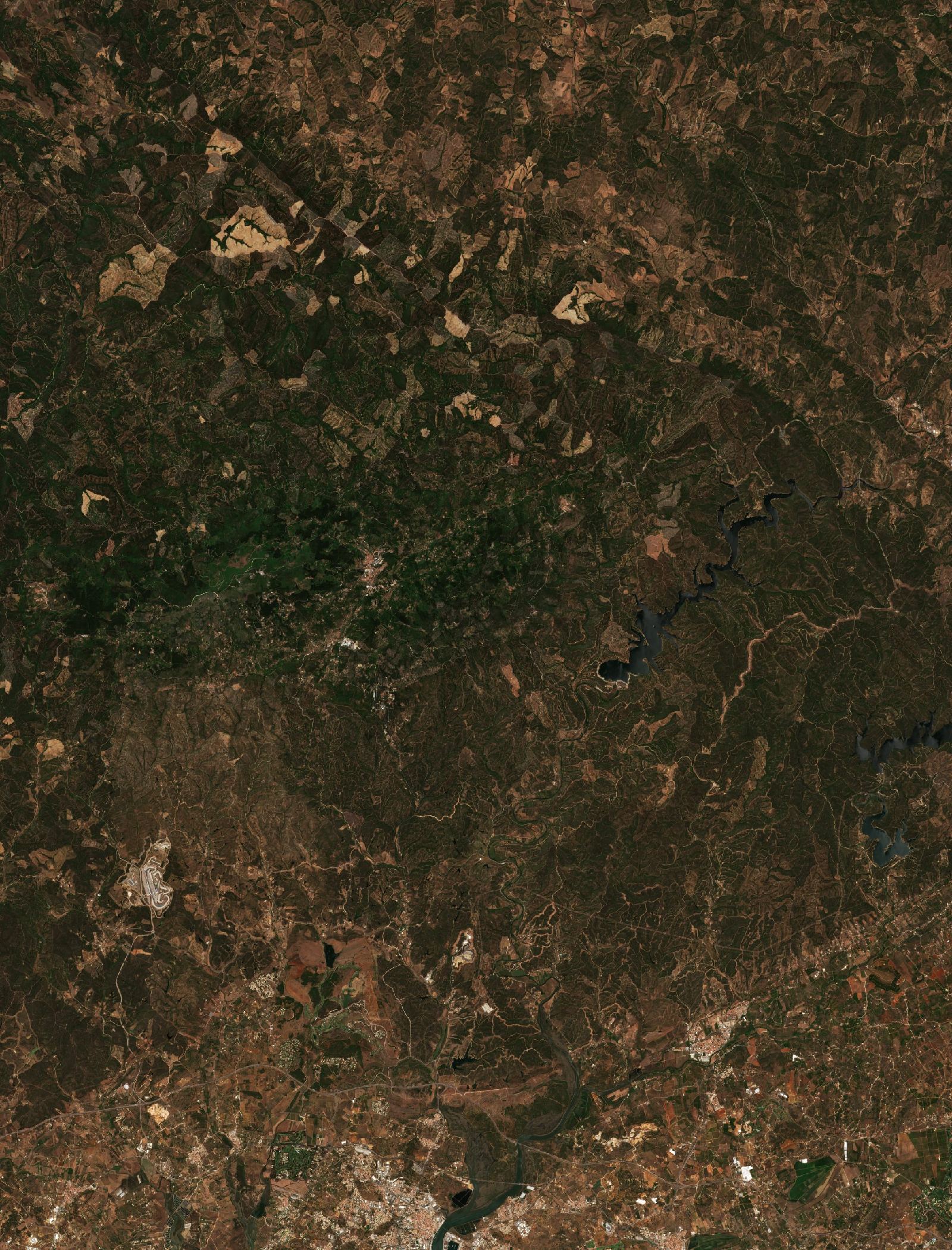 The area before the fire, July 19, 2018