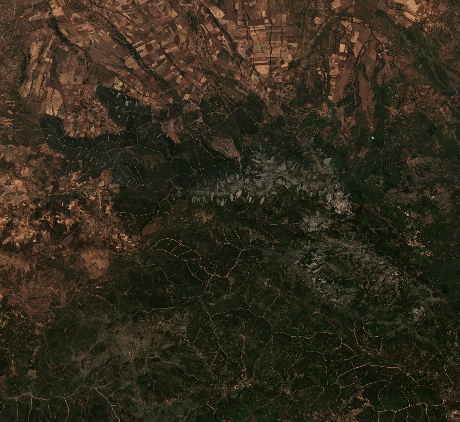 The area before the fire, July 8, 2022